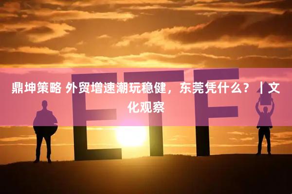 鼎坤策略 外贸增速潮玩稳健，东莞凭什么？｜文化观察