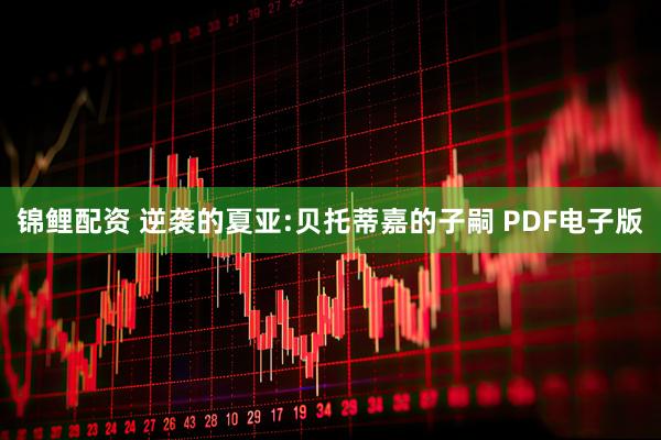 锦鲤配资 逆袭的夏亚:贝托蒂嘉的子嗣 PDF电子版