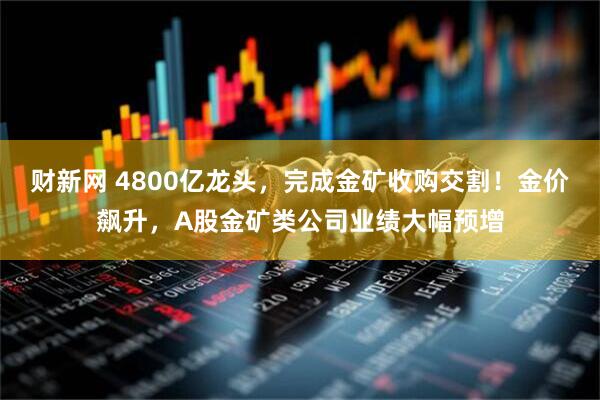 财新网 4800亿龙头，完成金矿收购交割！金价飙升，A股金矿类公司业绩大幅预增